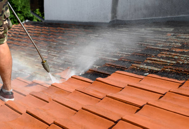 Best House Pressure Washing  in Rockwood, TN