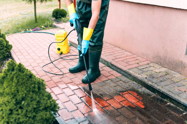 Best Roof Power Washing Services  in Rockwood, TN