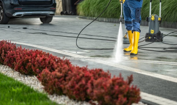 Best Exterior Home Cleaning  in Rockwood, TN