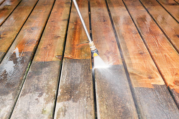 Best House Pressure Washing  in Rockwood, TN