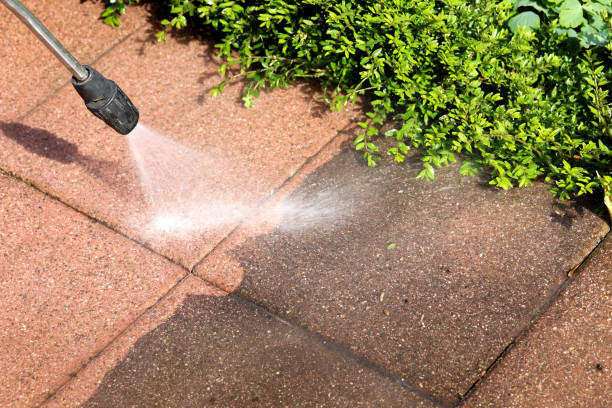 Best Local Pressure Washing Services  in Rockwood, TN